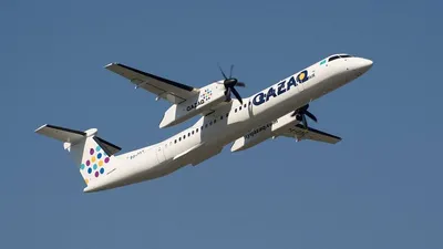 QAZAQ AIR акцияларын сатып алу-сату жөніндегі келісімшартқа қол қойылды, сурет - Zakon.kz жаңалық 31.12.2024 15:35