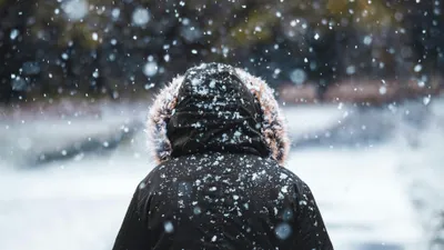 Снег, снегопад, зима, ветер, холод, мороз, заморозки, метель, фото - Новости Zakon.kz от 21.01.2025 17:58