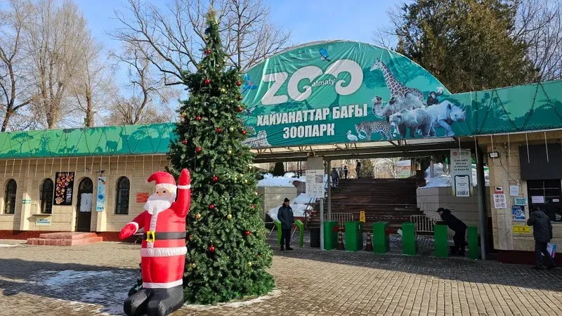 Астана мен Алматыда жаңа жылдық шыршалар мал азығына жіберілді, сурет - Zakon.kz жаңалық 21.01.2025 11:30