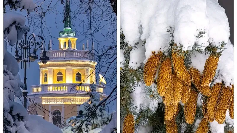 Порно фото фриз Жалаңаш жапондық және қытайлық әйелдердің порнофотосуреттері