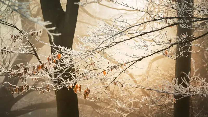 "Сынап бағаны -40°С-ді көрсетеді". Еліміздің басым бөлігінде дауылды ескерту жарияланды