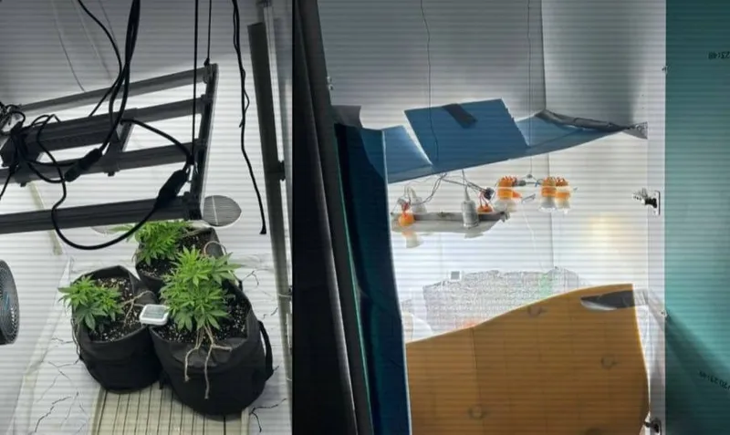 Полиция тәулік ішінде үш есірткі зертханасын анықтады