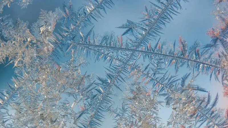 27 градус аяз, тұман және қар: Қазақстанның қай өңірлерінде ауа райына байланысты ескерту жасалды
