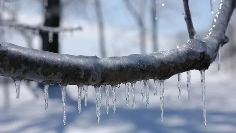 "Жаңбыр жауады". Сенбіде Астанада, Шымкентте және 15 өңірде дауылды ескерту жарияланды