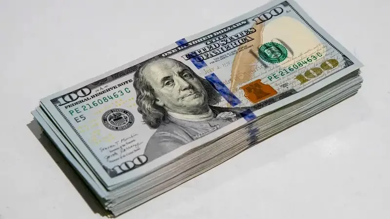 Шетелдік көздерден ақша алып отырған қазақстандықтардың тізімі жарияланады