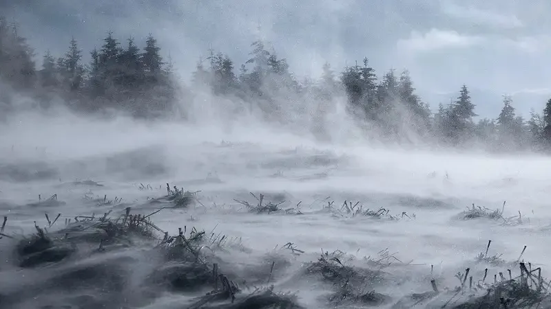 "Боран, тұман, көктайғақ". Жексенбіде еліміздің 13 өңірінде дауылды ескерту жарияланды