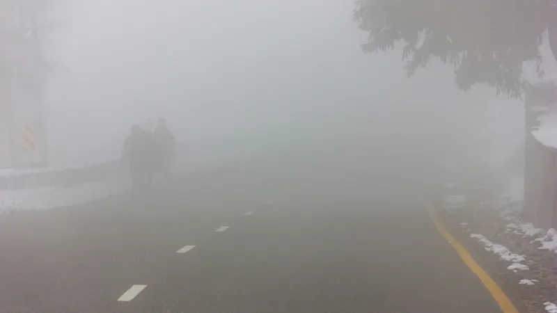 "Қар, көктайғақ, тұман". Сейсенбіде еліміздің 16 өңірінде дауылды ескерту жарияланды