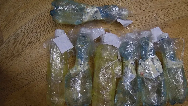 Арық және кеуделі қызбен жыныстық қатынас