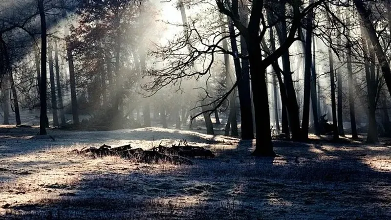 Жаңбырдан қарлы боранға дейін: сенбіде қай өңірлерде ауа райына байланысты ескерту жасалды