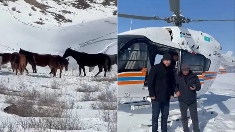 Жетісу облысында полицейлер жоғалған 18 жылқыны тауып, иесіне қайтарды