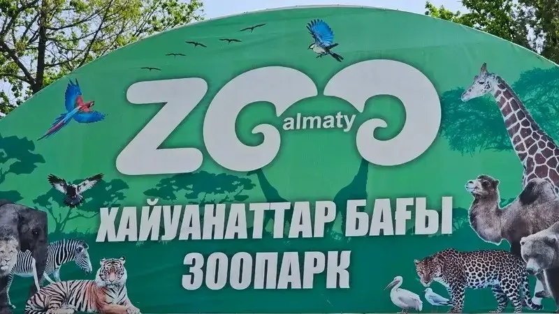 Мастурбация жасайтын қыздың жеке порно видеосы