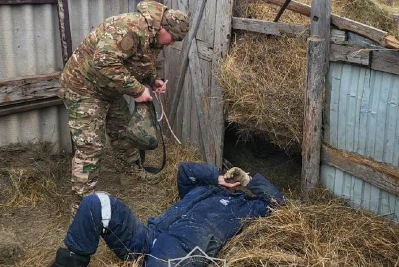 БҚО-да ер адамды 300 келі болатын шөп орамы басып қалды