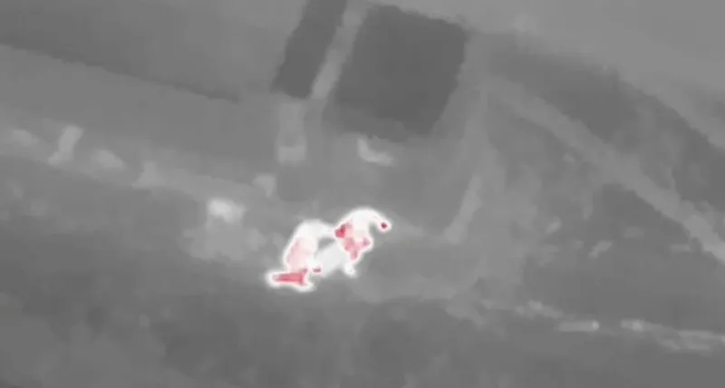 Өскеменде жүк көліктерінің аккумуляторын ұрлаумен айналысқан үш күдікті ұсталды