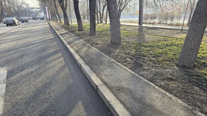 Алматының Бостандық ауданында магистральді көшелерді көркейту жұмыстары қызды