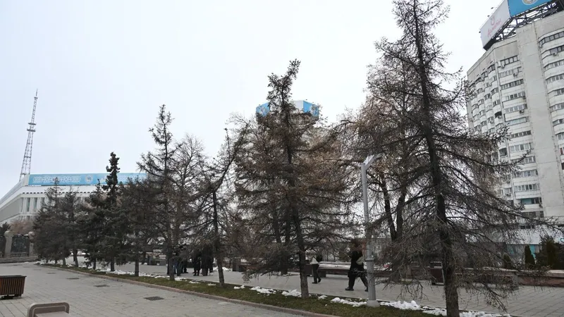 Алматыда Жиембаев атындағы Қазақ өсімдік қорғау және карантин ғылыми-зерттеу институтының ғалымдары, "Eco Almaty" ЖШС мамандары және БАҚ өкілдерінің қатысуымен Республика алаңы мен әл-Фараби даңғылы бойындағы жасыл желектің жағдайымен танысуға арналған баспасөз туры өтті., сурет - Zakon.kz жаңалық 03.03.2025 15:19