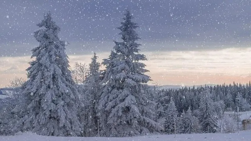 5 наурызда қай өңірлерде қар мен жаңбыр жауып, көктайғақ болады, сурет - Zakon.kz жаңалық 04.03.2025 19:00