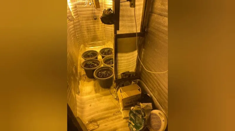 БҚО-да ауыл тұрғыны жасырын бөлмеде есірткі зертханасын жасаған