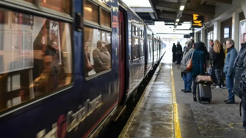 Пойыздарда үй жануарларын тасымалдау ережелері: нені ескеру керек