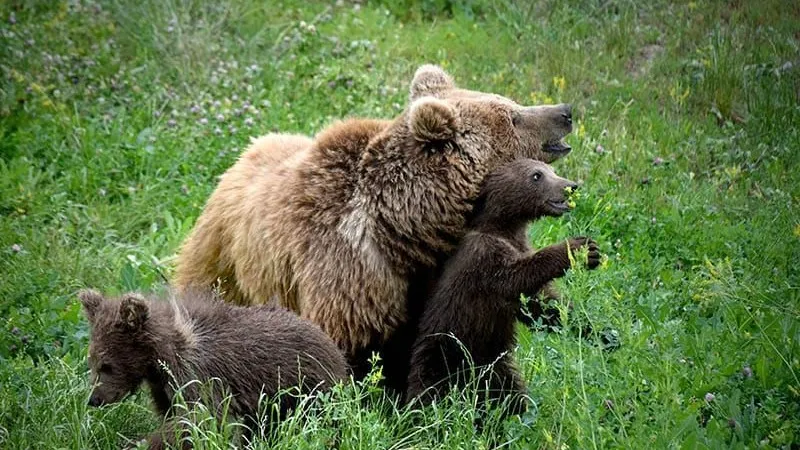 Тарихи рекорд: Алматы хайуанаттар бағына 1 миллионнан астам адам келді
