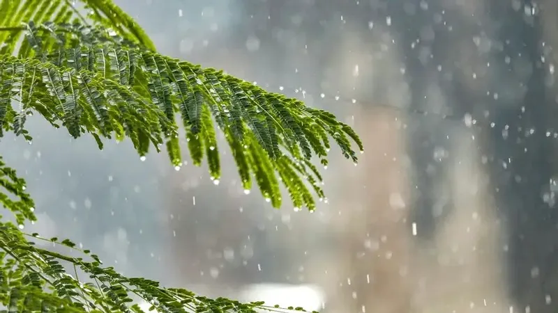 "Шымкентте күн күрт ысып, Астанада боран ұйтқиды". Алдағы үш күнге арналған ауа райы болжамы