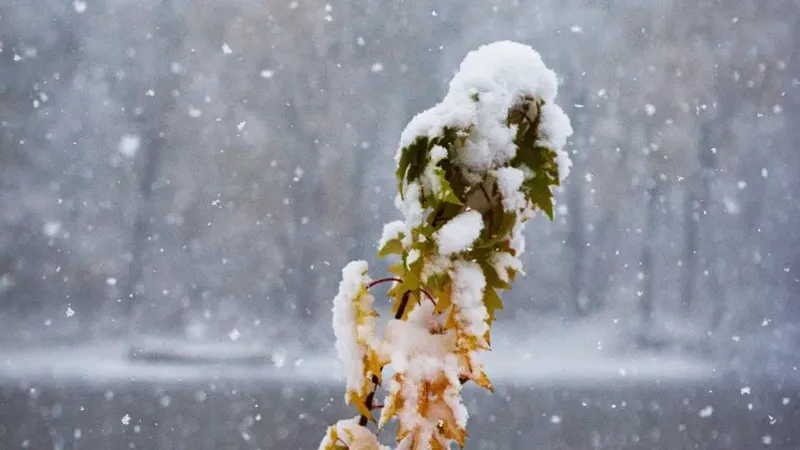 Синоптиктер: Қазақстанның басым бөлігінде қалың қар түседі