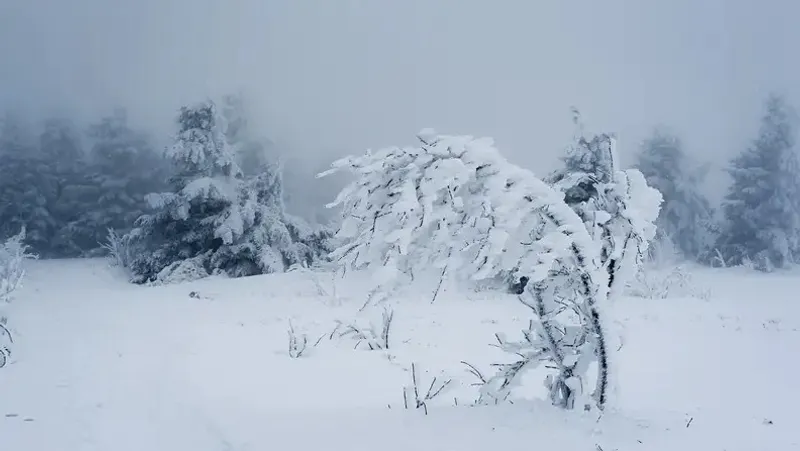 "Қар жауып, боран соғады". Еліміздің 16 өңірінде дауылды ескерту жарияланды