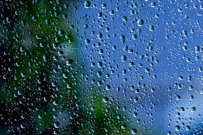 Жаңбыр, қар, тұман: Қазақстанның басым бөлігінде ауа райына байланысты ескерту жасалды, сурет - Zakon.kz жаңалық 12.03.2025 21:56