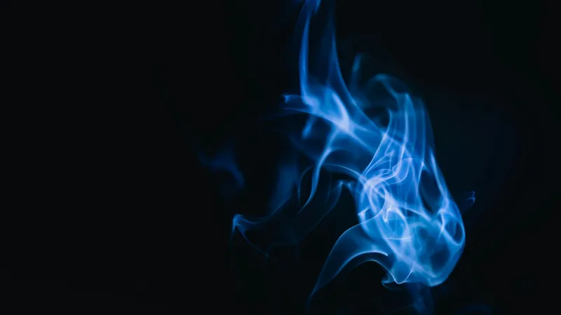 Алматыда 19 мыңға жуық қорап темекі заңсыз айналымнан алынып тасталды