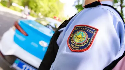 Полиция, ІІМ, Шымкент, төрт балалы әйел, шабуыл, видео, түсініктеме  , сурет - Zakon.kz жаңалық 16.04.2025 18:27