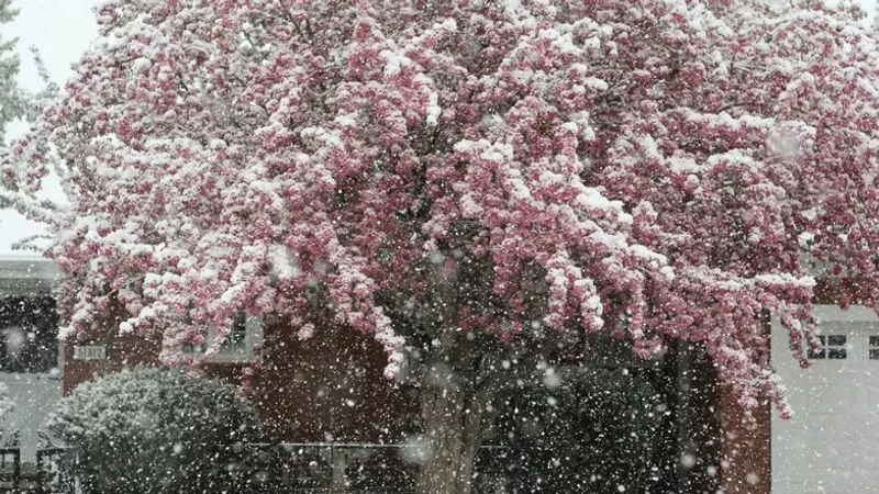 "Қар жауып, үсік жүреді". Астана мен еліміздің 16 өңірінде дауылды ескерту жарияланды