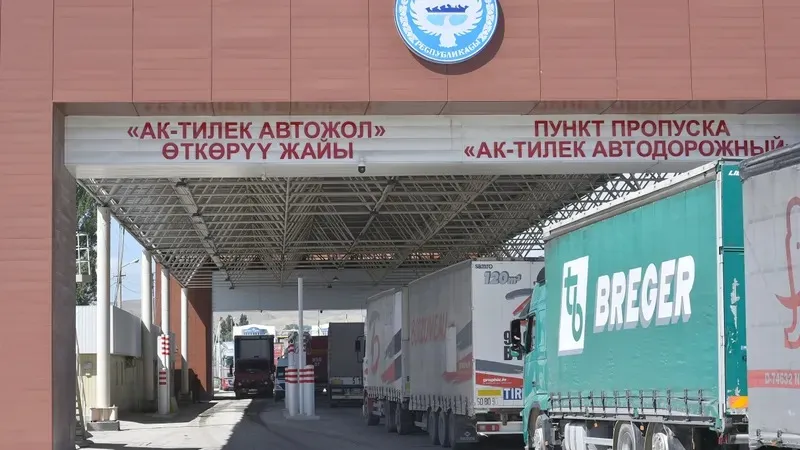 Ауыл шаруашылығы жануарларының терісі мен жүнін шетелге шығаруға қойылған кедендік баж салығы жойылады, сурет - Zakon.kz жаңалық 17.04.2025 11:18