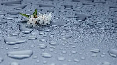 Жаңбыр, ауа райы болжамы, 27 сәуір, Қазақстан, дауылды ескерту, сурет - Zakon.kz жаңалық 26.04.2025 17:32