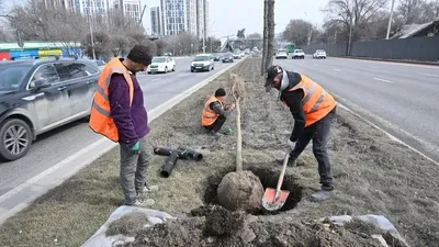 Сонымен, аудан әкімдігінің 2025 жылғы 29 сәуірдегі хабарламасында шағын түсініктеме бар:, сурет - Zakon.kz жаңалық 29.04.2025 15:06