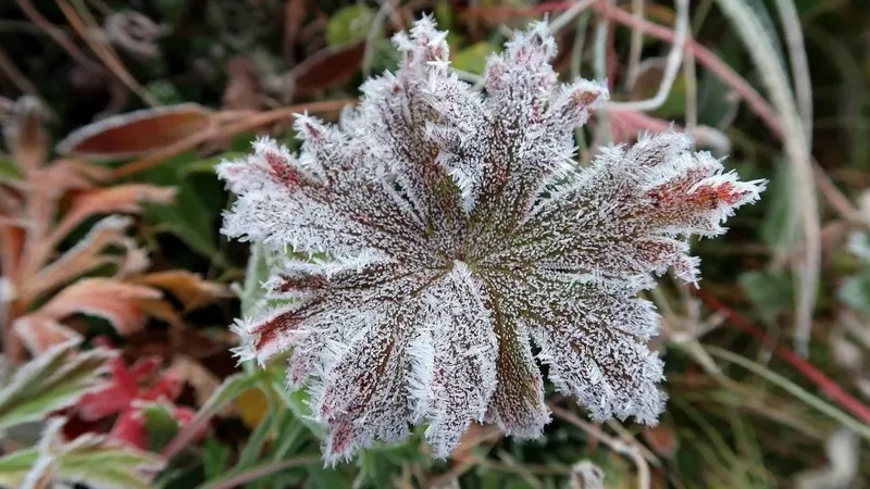 Жексенбіде қай өңірлерде найзағай ойнап, бұршақ жауады және үсік жүреді