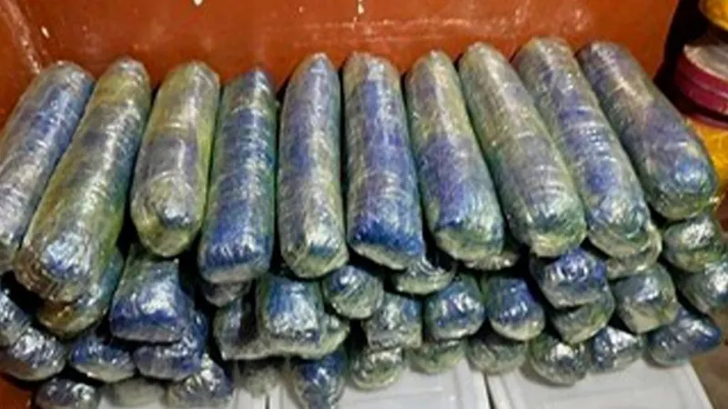 ҰҚК құны 2,4 млн АҚШ долларына бағаланатын есірткі арнасын әшкереледі