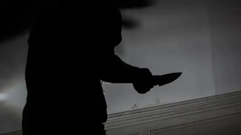 Алматы облысында ауыл тұрғынын пышақтап кеткен күдікті іздестіріліп жатыр