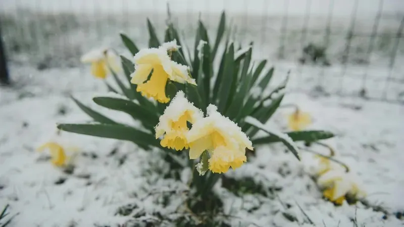 Қазақстанның басым бөлігінде күн райы бұзылып, қар аралас жаңбыр жауады деп болжанады