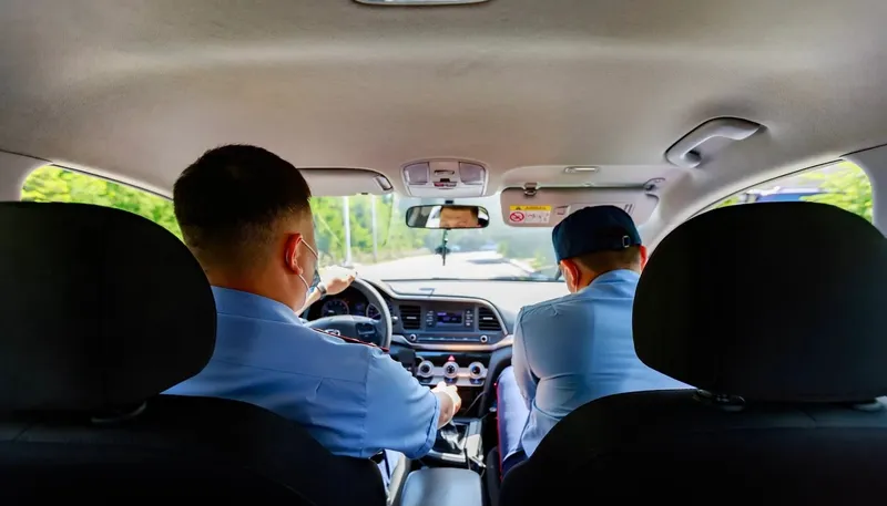 Орманда пикап машинасы Терең жұлдыруға арналған бейне