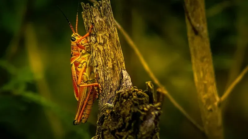 Өзбек секс порно