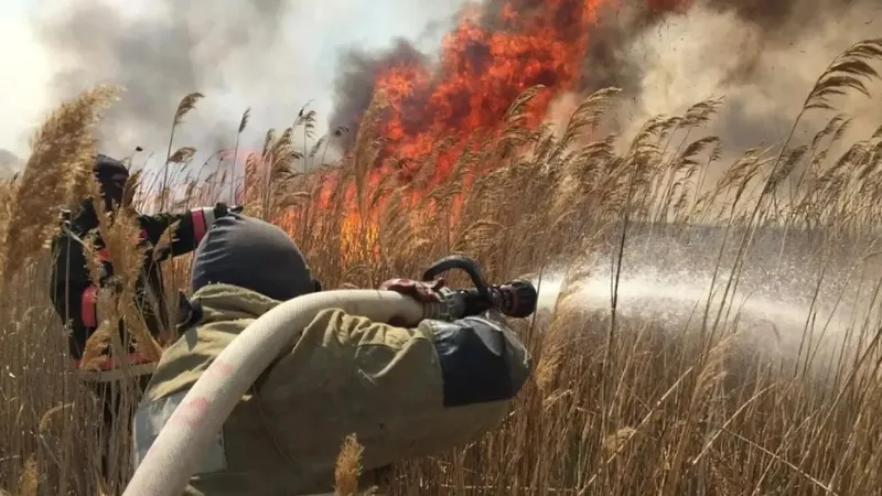 Атырау маңындағы "Ақжайық" қорығы аймағында ірі өрт сөндіріліп жатыр