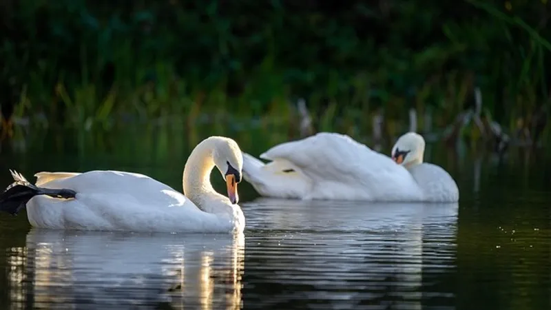 Жамбыл облысындағы Қаракөлге су қайта оралды