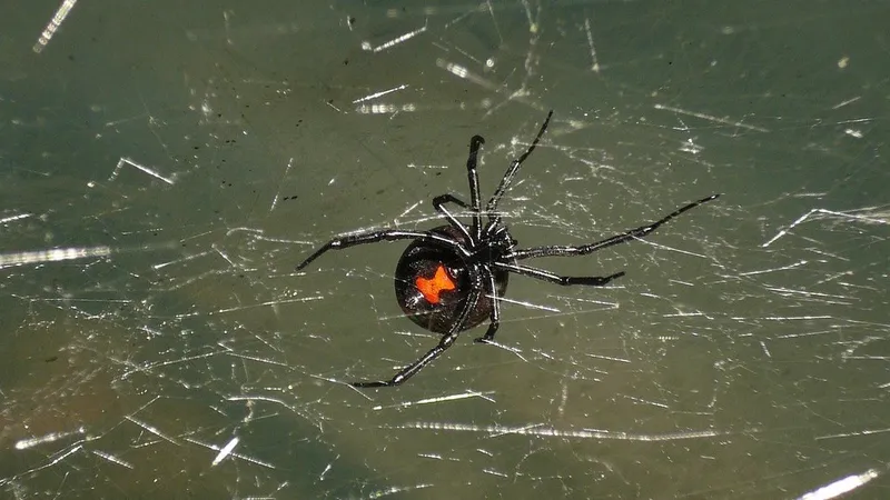 Зәр ішетін порно онлайн көру