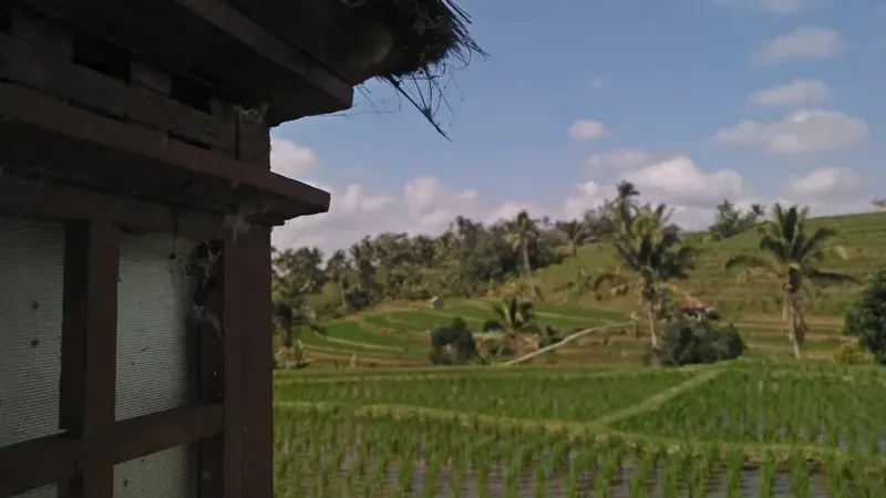 Балиге есірткі алып өтпек болған  үш турист өлім жазасына кесілді