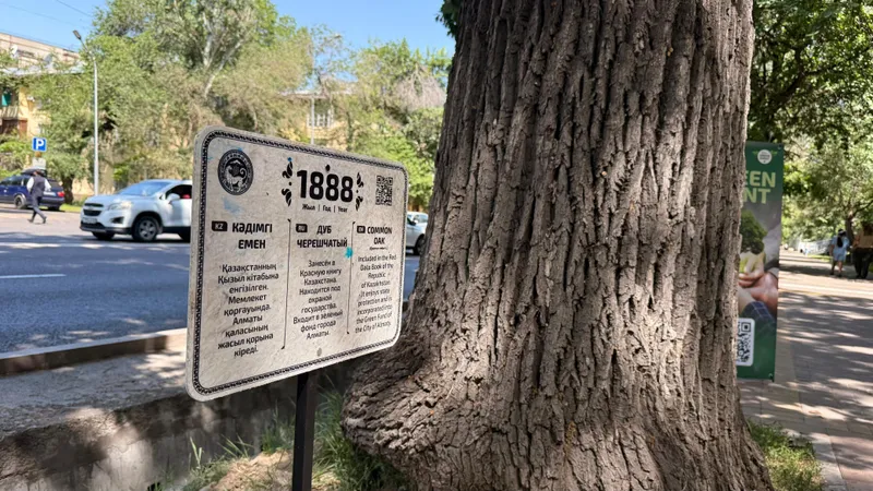 Алматыда қайта өңделген пластиктен жасалған алғашқы ақпараттық тақтайша орнатылды