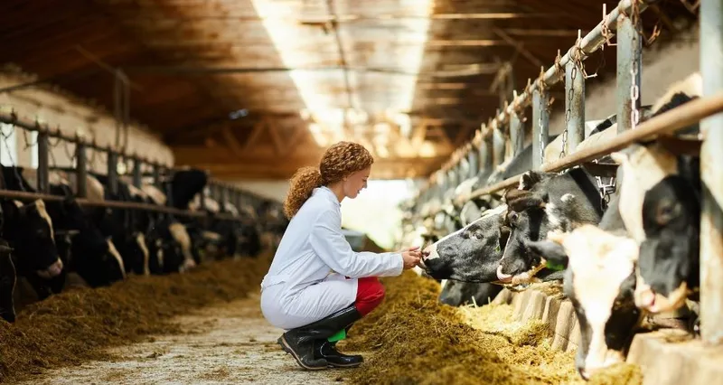 Қоғалымдағы секс суреттері