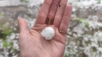 Бұршақ, ауа райы болжамы, 12 маусым, дауылды ескерту, Қазақстан, сурет - Zakon.kz жаңалық 11.06.2025 22:56