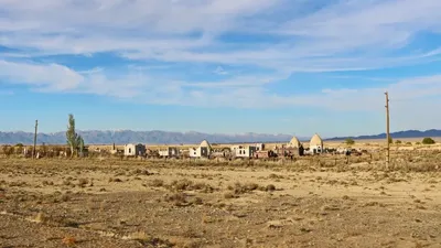 Қазақстанда өлім-жітім көрсеткіші ең жоғары үш облыс анықталды, сурет - Zakon.kz жаңалық 12.06.2025 10:54