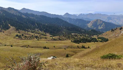 Алматы прокурорлары таулы аймақтағы 54 миллиард теңгенің жерін қайтарды, сурет - Zakon.kz жаңалық 12.06.2025 20:42