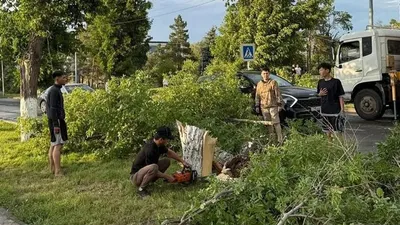 Павлодардағы дауылдың салдары: Әкім тұрғындарға қайда бару керектігін айтты, сурет - Zakon.kz жаңалық 20.06.2025 10:13