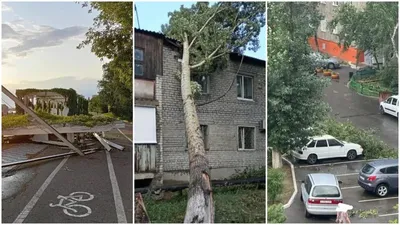 Бұған дейін Павлодар қаласының әкімі Хасар Хабылбеков қала тұрғындары мен қонақтары алдында сөз сөйлеп, ауа райының қолайсыз салдарын жою үшін қайда бару керектігін айтқан болатын., сурет - Zakon.kz жаңалық 20.06.2025 10:55